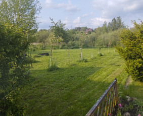 Tvarkingi Sklypai Panevėžyje / Egidijus Ablėnas / Darbų pavyzdys ID 3963771