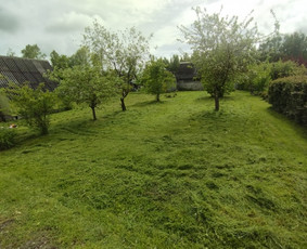 Tvarkingi Sklypai Panevėžyje / Egidijus Ablėnas / Darbų pavyzdys ID 3963783