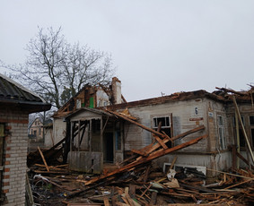 Viso tipo griovimo darbai / Griovimo darbai / Darbų pavyzdys ID 3965039