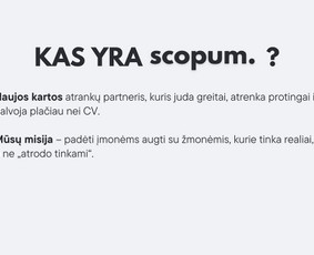 Personalo atrankų sprendimai - Personalo sprendimai - 2 Personalo sprendimai - Personalo atrankų sprendimai - 2