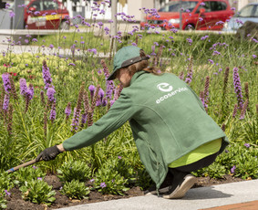 Aplinkos tvarkymas, apželdinimas - Aplinkos priežiūros darbai - 4