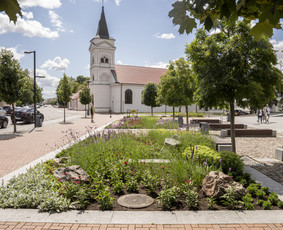 Aplinkos tvarkymas, apželdinimas - Aplinkos priežiūros darbai - 3