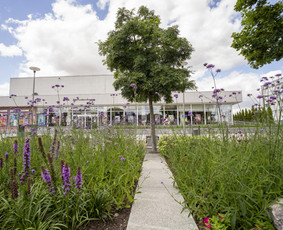 Aplinkos tvarkymas, apželdinimas - Aplinkos priežiūros darbai - 2