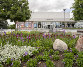 Aplinkos tvarkymas, apželdinimas - Aplinkos priežiūros darbai - 1