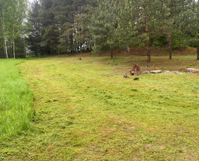 Arboristų paslaugos - medžių genėjimas, pjovimas / MB BALTA LAJA / Darbų pavyzdys ID 3966493