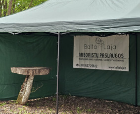 Arboristų paslaugos - medžių genėjimas, pjovimas / MB BALTA LAJA / Darbų pavyzdys ID 3966503