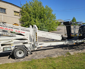 Arboristų paslaugos - medžių genėjimas, pjovimas / MB BALTA LAJA / Darbų pavyzdys ID 3966507