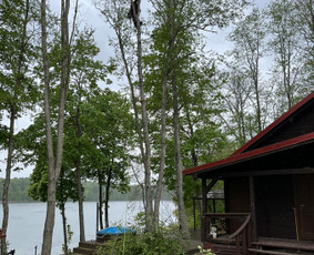 Arboristų paslaugos - medžių genėjimas, pjovimas / MB BALTA LAJA / Darbų pavyzdys ID 3966509