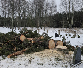 Arboristų paslaugos - medžių genėjimas, pjovimas - Apleistų sklypų tvarkymas - 4 Apleistų sklypų tvarkymas - Arboristų paslaugos - medžių genėjimas, pjovimas - 4