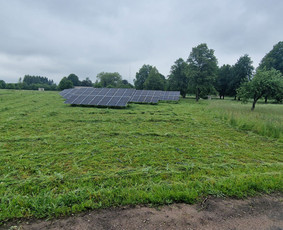 Aplinkos priežiūros darbai, žolės pjovimas, sniego valymas / Ingridas Kazlauskas / Darbų pavyzdys ID 3967277