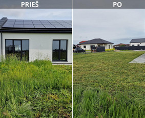 Aplinkos priežiūros darbai, žolės pjovimas - Vejos priežiūra, įrengimas - 4 Vejos priežiūra, įrengimas - Aplinkos priežiūros darbai, žolės pjovimas - 4