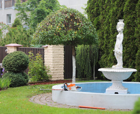 Gyvatvorių karpymas, vaismedžių/medžių genėjimas, šienavimas / Pavelas / Darbų pavyzdys ID 3967387