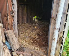 Šiukšlių išvežimas, griovimo darbai / Vilma Gaižutienė / Darbų pavyzdys ID 3967485