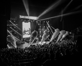 Renginių, švenčių ir sporto fotografavimas / Tadas Virbickis / Darbų pavyzdys ID 3969109
