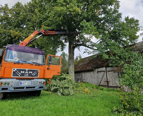 4x4 Kranas Fiskaras Smelis Zvyras Avariniu medziu pjovimas / Jevgenijus Kozemiakinas / Darbų pavyzdys ID 3970003