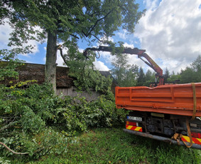 4x4 Kranas Fiskaras Smelis Zvyras Avariniu medziu pjovimas / Jevgenijus Kozemiakinas / Darbų pavyzdys ID 3970007