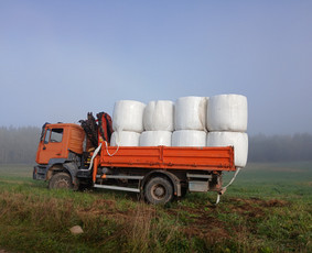 Fiskaro nuoma - 4x4 Kranas Fiskaras Smelis Zvyras Avariniu medziu pjovimas - 4