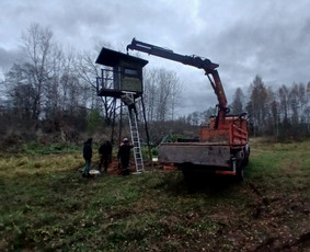 4x4 Kranas Fiskaras Smelis Zvyras Avariniu medziu pjovimas / Jevgenijus Kozemiakinas / Darbų pavyzdys ID 3970055