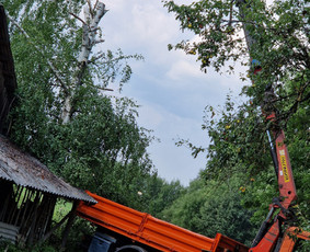 4x4 Kranas Fiskaras Smelis Zvyras Avariniu medziu pjovimas / Jevgenijus Kozemiakinas / Darbų pavyzdys ID 3970009