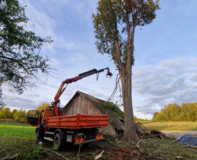 4x4 Kranas Fiskaras Smelis Zvyras Avariniu medziu pjovimas / Jevgenijus Kozemiakinas / Darbų pavyzdys ID 3970015