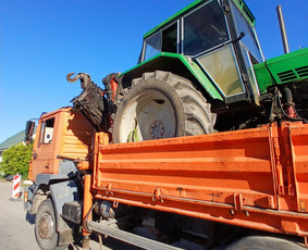 4x4 Kranas Fiskaras Smelis Zvyras Avariniu medziu pjovimas / Jevgenijus Kozemiakinas / Darbų pavyzdys ID 3970025