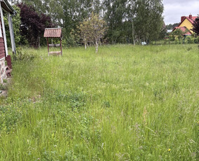 Žolės ir vejos pjovimas . Lapų surinkimas / Vytautas Giniotas / Darbų pavyzdys ID 3970203