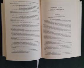 Profesionalios teisinės paslaugos - Paslaugos verslui - 4 Paslaugos verslui - Profesionalios teisinės paslaugos - 4