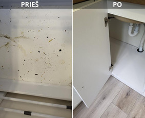 Visos valymo paslaugos. Dirbame visoje Lietuvoje ! / MB "HD Clean" / Darbų pavyzdys ID 3970919
