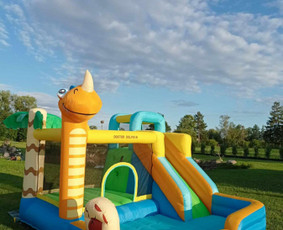 Pripučiamų batutų nuoma Kaune / Batutų Fiesta / Darbų pavyzdys ID 3971281