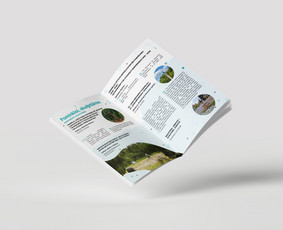 Grafikos Web Ux/ui dizainas - Maketavimas - 3 Maketavimas - Grafikos Web Ux/ui dizainas - 3