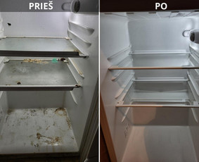 Visos valymo paslaugos. Dirbame visoje Lietuvoje ! / MB "HD Clean" / Darbų pavyzdys ID 3972755