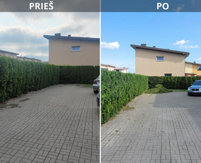 Vaismedžiu genėjimas,tuju gyvatvorių,krūmų kirpimas! / Vitalijus Juodaitis / Darbų pavyzdys ID 3973045