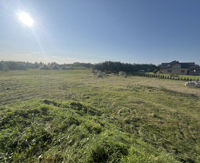 Žolės pjovimas trimeriu - Pievų šienavimas - 3 Pievų šienavimas - Žolės pjovimas trimeriu - 3