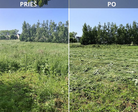Žoles pjovimas - Vejos priežiūra, įrengimas - 2 Vejos priežiūra, įrengimas - Žoles pjovimas - 2