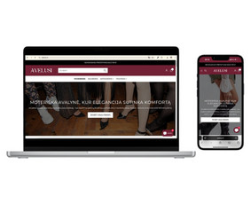 Shopify Elektroninių Parduotuvių Įgyvendinimas ir Mokymai / Žygimantas Bereiša / Darbų pavyzdys ID 3974731