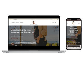 Shopify Elektroninių Parduotuvių Įgyvendinimas ir Mokymai / Žygimantas Bereiša / Darbų pavyzdys ID 3974733