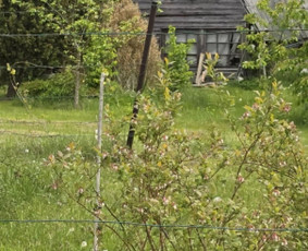 Griovimas, atliekų išvežimas - pasitikrink kainą pas mus - Konteinerių nuoma - 3 Konteinerių nuoma - Griovimas, atliekų išvežimas - pasitikrink kainą pas mus - 3