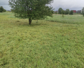 Žolės Pjovimas Su Trimeriu Ir Žoliapjove / Mindaugas / Darbų pavyzdys ID 3975763