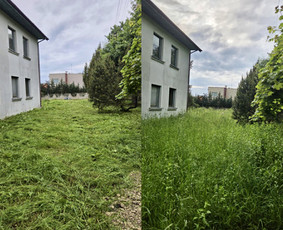 Žolės pjovimas, apleistų sklypų tvarkymas - Vejos priežiūra, įrengimas - 3 Vejos priežiūra, įrengimas - Žolės pjovimas, apleistų sklypų tvarkymas - 3