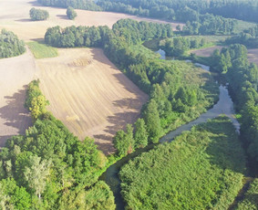 Kitos laisvalaikio paslaugos - Baidarės+kubilas+pirtelė Suvalkijoje. - 1