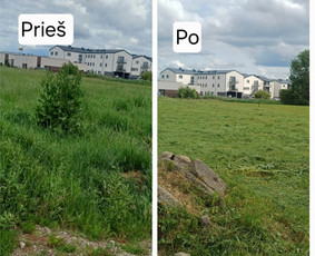 Žolės pjovimas, apleistų sklypų tvarkymas - Vejos priežiūra, įrengimas - 2 Vejos priežiūra, įrengimas - Žolės pjovimas, apleistų sklypų tvarkymas - 2