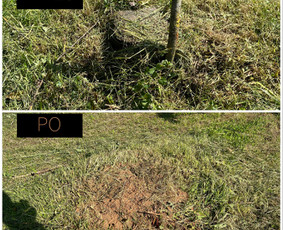 Kelmų frezavimas, šakų smulkintuvo nuoma - Įvairios technikos nuoma - 2 Įvairios technikos nuoma - Kelmų frezavimas, šakų smulkintuvo nuoma - 2