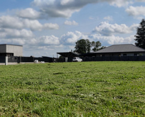 Žolės pjovimas trimeriu - Aplinka, sodas - 1 Aplinka, sodas - Žolės pjovimas trimeriu - 1