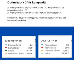 Vidinis, techninis, išorinis Seo. Google Ads - Google Ads reklama - 2 Google Ads reklama - Vidinis, techninis, išorinis Seo. Google Ads - 2