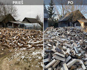 Sklypų tvarkymas: medžių ir krūmų pjovimas su išvežimu. / Albertas Rakuckis / Darbų pavyzdys ID 3977081