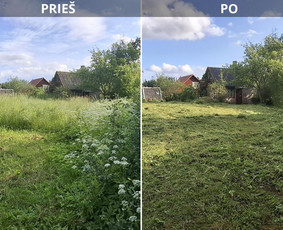 Žoles pjovimas - Vejos priežiūra, įrengimas - 1 Vejos priežiūra, įrengimas - Žoles pjovimas - 1