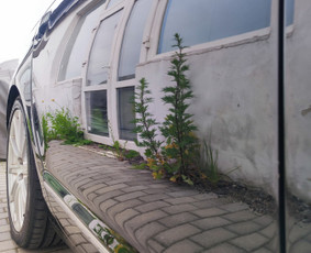 Automobilių Poliravimas / Garage 22 / Darbų pavyzdys ID 3977631