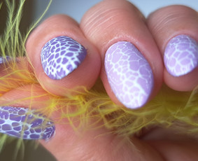 Manikiūro ir pedikiūro paslaugos! - Nagų priauginimas - 1 Nagų priauginimas - Manikiūro ir pedikiūro paslaugos! - 1