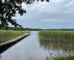 Sodybos nuoma (prie Ilgio ežero) / Rasa St. / Darbų pavyzdys ID 3978905