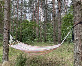 Sodybos nuoma (prie Ilgio ežero) / Rasa St. / Darbų pavyzdys ID 3978919